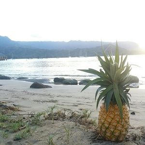 Meet your Posher, Farrah